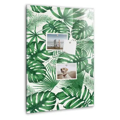 Monstera leaf design magnetic board