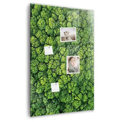Forest trees nature magnet board