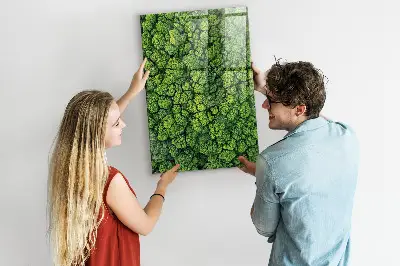 Magnet board Forest trees nature