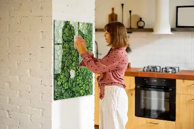 Magnet board Forest trees nature