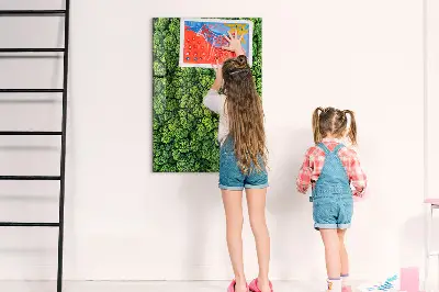 Magnet board Forest trees nature