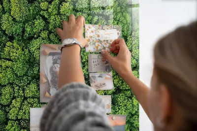 Magnet board Forest trees nature