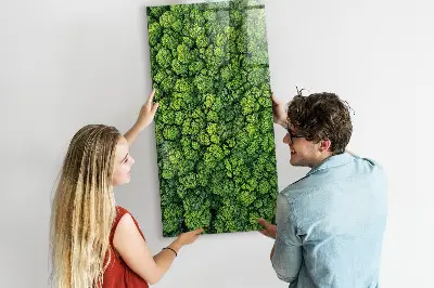 Magnet board Forest trees nature