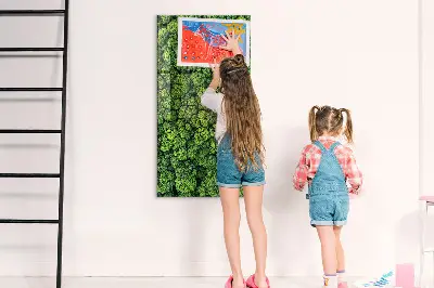Magnet board Forest trees nature