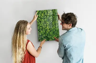 Magnet board Forest trees nature