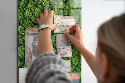 Magnet board Forest trees nature