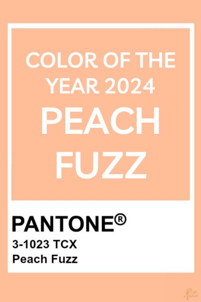 Pantone Peach Fuzz - color of the year 2024