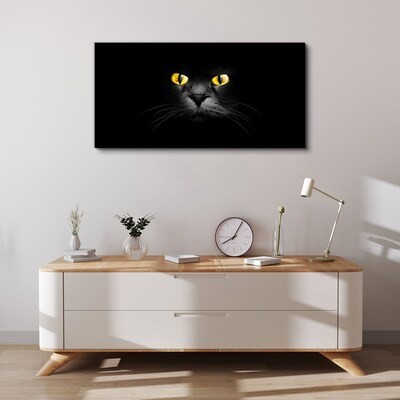 Canvas prints with cats