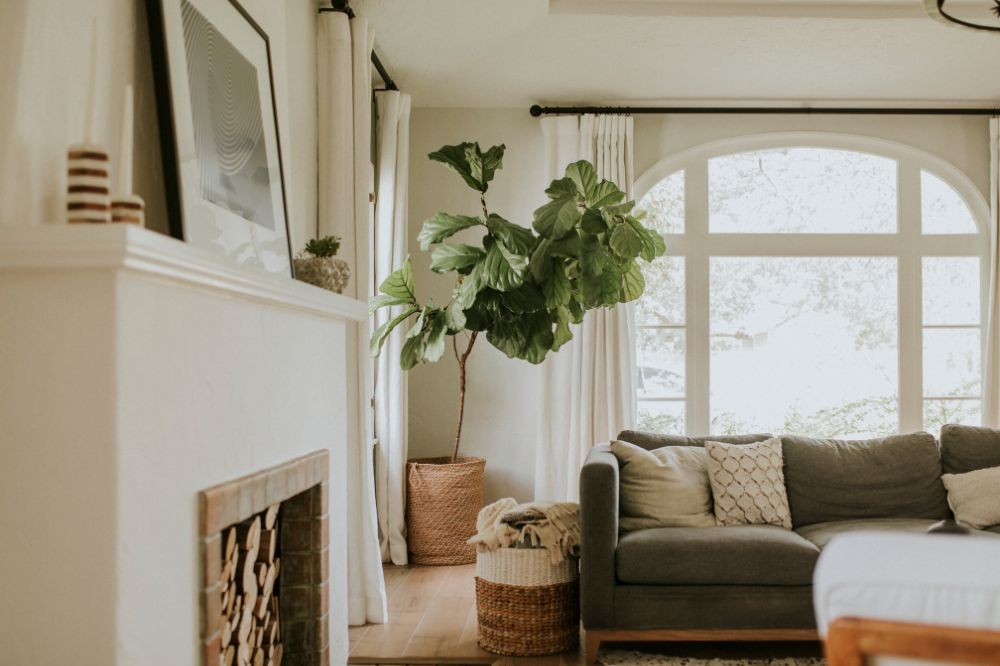  cozy living room