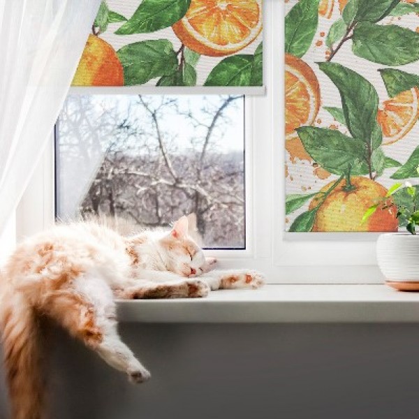 Culinary-Inspired Roller Blinds for kitchen 